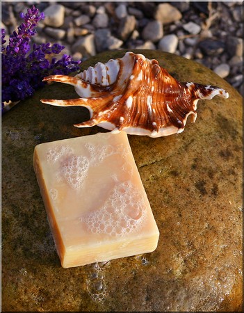 Handmade soap on a stone with a shell