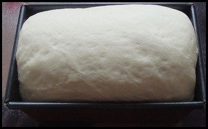 Dough that has doubled in size and ready for baking