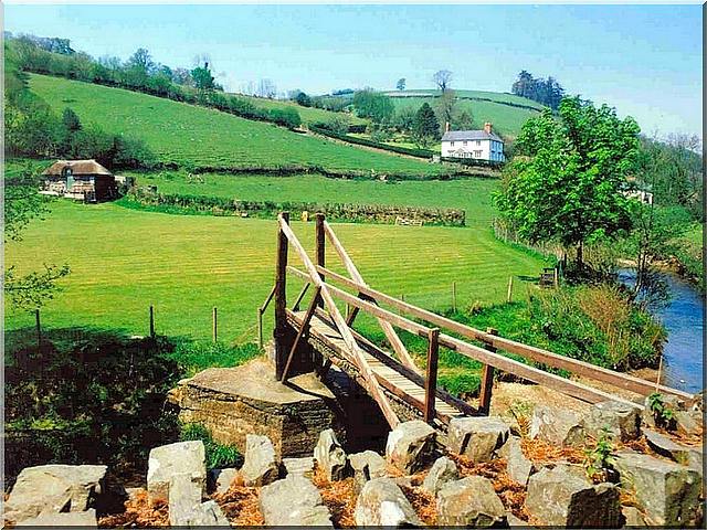 A farm in Somerset, UK