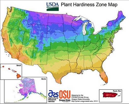 USDA Gardening zone map