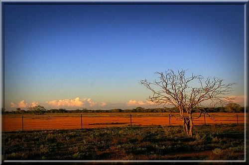 An Australian farm in the Outback