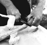 removing the head of the chicken during home butchering