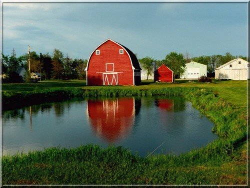 A red barn and farm dam on a Candian farm