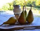 canning baby food thumbnail