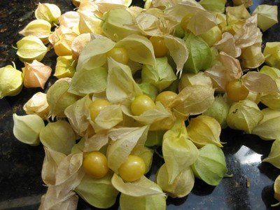 Recently harvested Cape Gooseberries on a black table top.