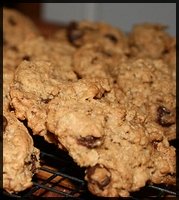 chocolate chip oat cookies