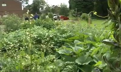 Public vegetable gardens in Todmorden, UK