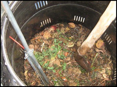 The compost heap