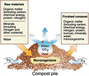 ideal composting conditions