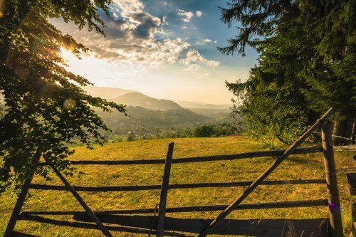 A country homestead field