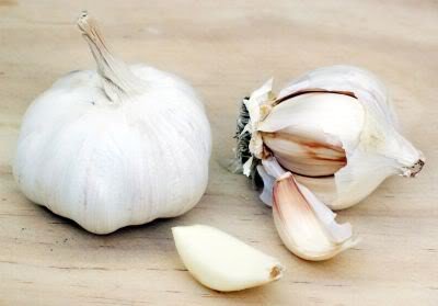 cracking garlic by removing the cloves from the basal plate