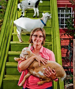 3 nigerian-dwarf-goats with 2 on some green steps and the other being held