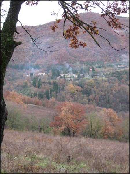 farm photo of my farm in Italy, casentino valley