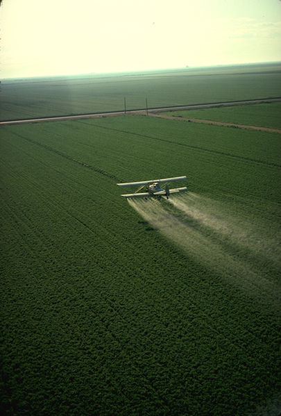 food safety regarding pesticides