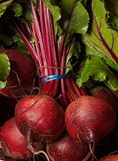 growing beetroot