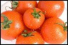 Tomatoes thumbnail