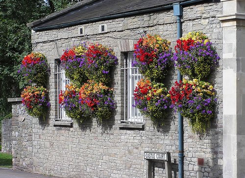 hanging flower baskets