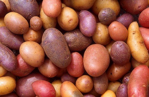 Heirloom Potatoes