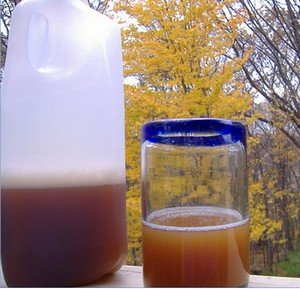 Homemade apple cider in a glass.