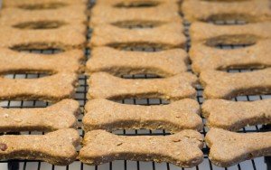 homemade dog biscuits