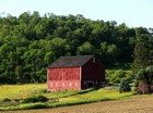 Homestead land