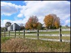 Homesteading Today