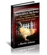 incredible chickens ebook