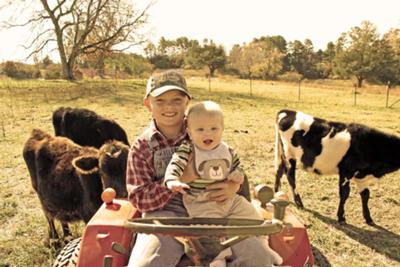 Down on the Farm!