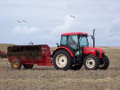 Manure being spread by a spreader and tractor.