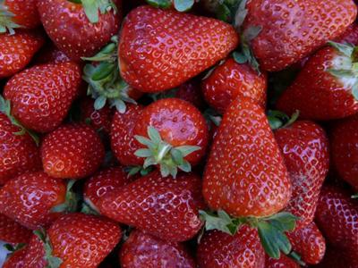 strawberries galour!