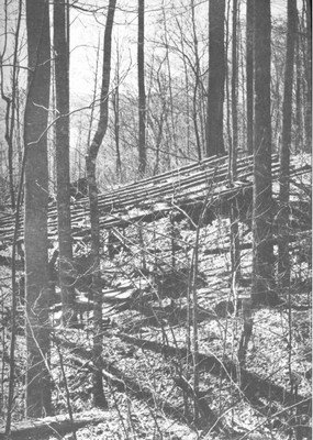 Clandestine moonshine location