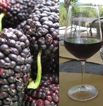 Mulberries and a glass of mulberry wine.