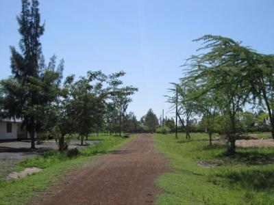 Part of farm surroundings