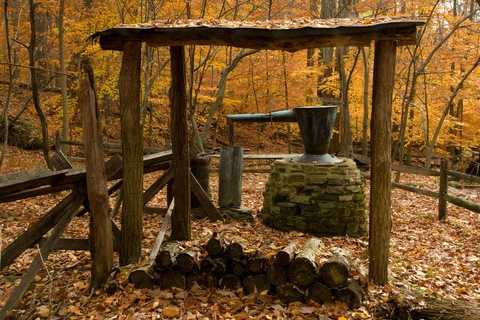 Old Moonshine Still in a Forest