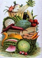 organic farm produce thumbnail