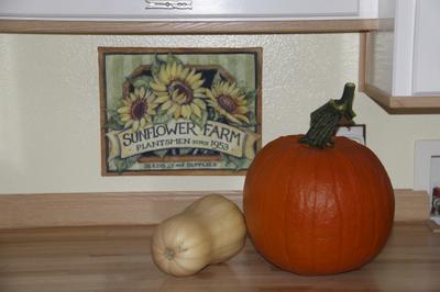 Here is the pumpkin before it started to turn green.