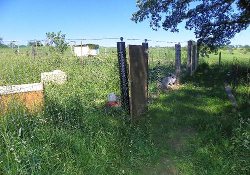 rabbit pens on an Iowa farm