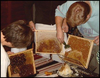 bee keeping and removing the capping