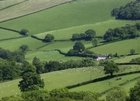 Rural Living thumbnail