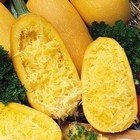 spaghetti squash thumbnail