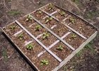 square foot gardening thumbnail