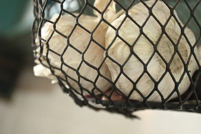 Storing garlic in a mesh bag for circulation.