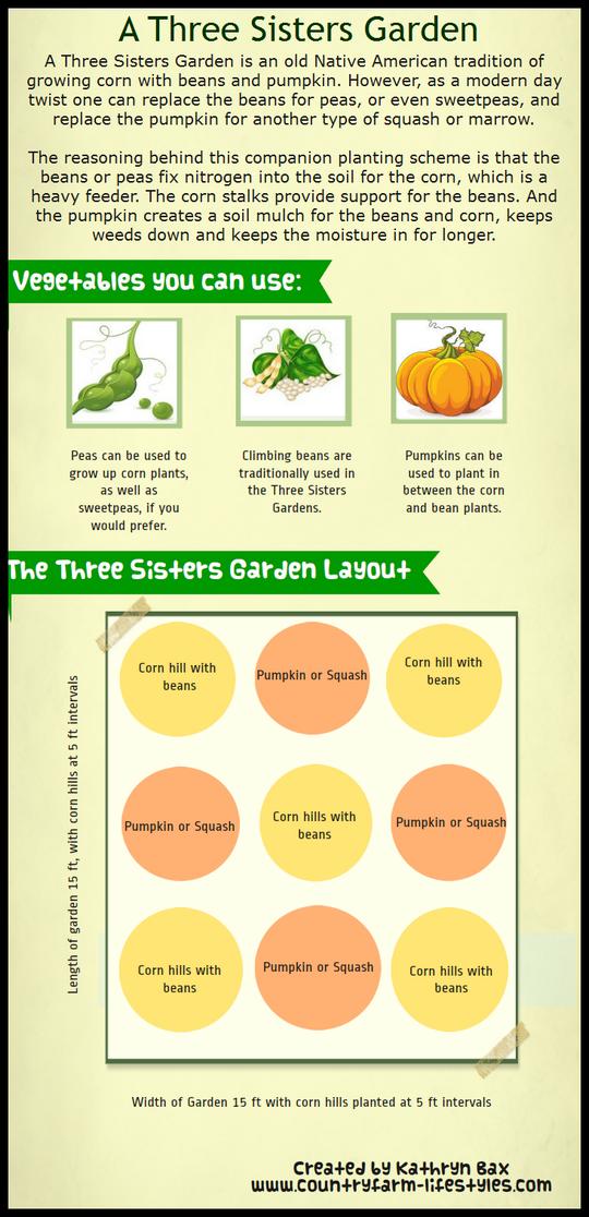 Three Sisters Garden Layout Infographics