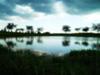 The Farm pond
