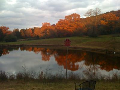 Turkey Hill Farm