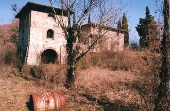Uncleared land around the Tuscan Farmhouse before the clearing of land