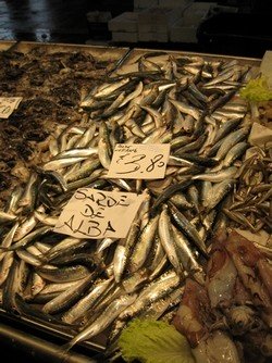 sardines on display used in a vegetarian diet